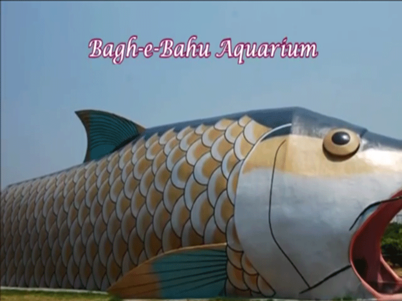 Bagh-e-Bahu Aquarium